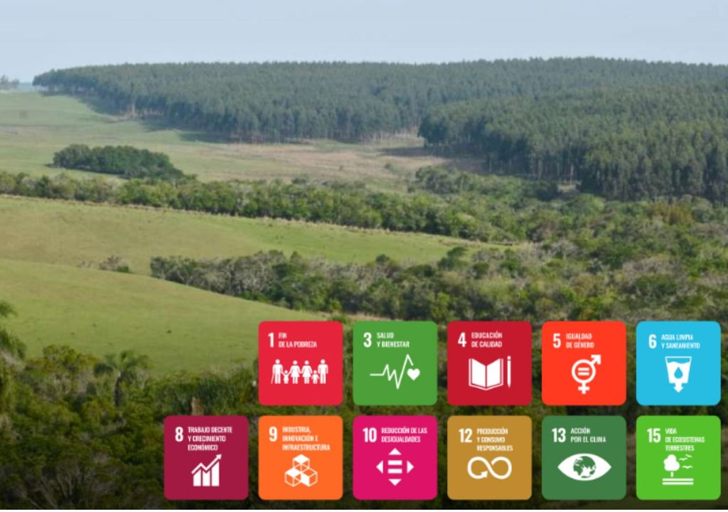 Plantaciones Forestales de Guanaré Uruguay Plantaciones Forestales de Guanaré Uruguay