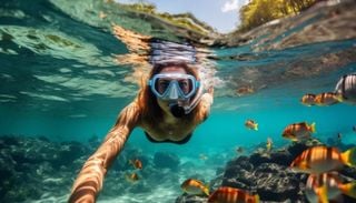 Cabo Pulmo ha dejado de ser un desierto marino y hoy esconde algunos de los snorkels m&aacute;s incre&iacute;bles de M&eacute;xico