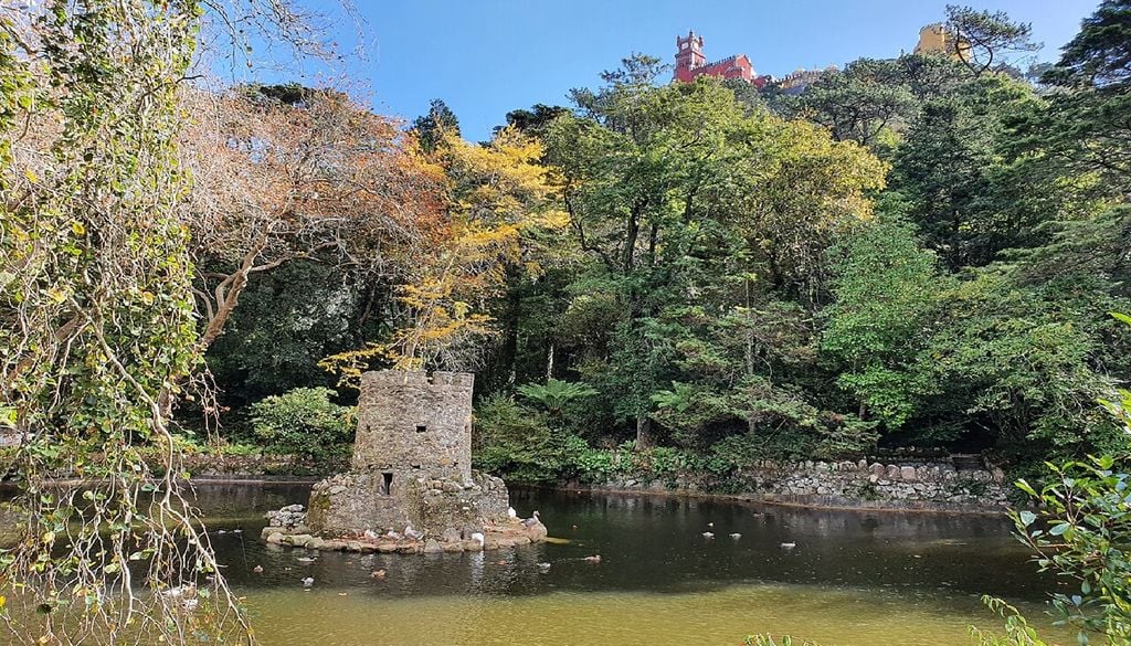 Parque da Pena, Sintra Além de raposas, ginetas, ouriços-caixeiros e outra fauna típica, o Parque da Pena conta agora com um trio de caprinos do Algarve para proteger a floresta. Foto: GualdimG, CC BY-SA 4.0, via Wikimedia Commons
