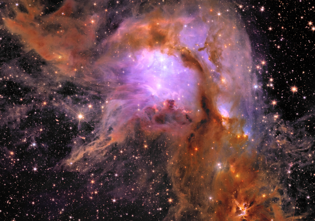 Messier 78 é um verdadeiro berçário de estrelas com uma vasta população de estrelas jovens. Messier 78 é um verdadeiro berçário de estrelas com uma vasta população de estrelas jovens.