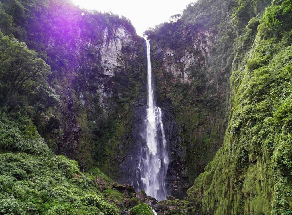 A Cachoeira Salto Grande, em Corupá (SC), é o ponto alto da Rota das Cachoeiras. Crédito: Divulgação.