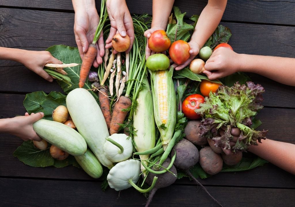 Verduras Verduras