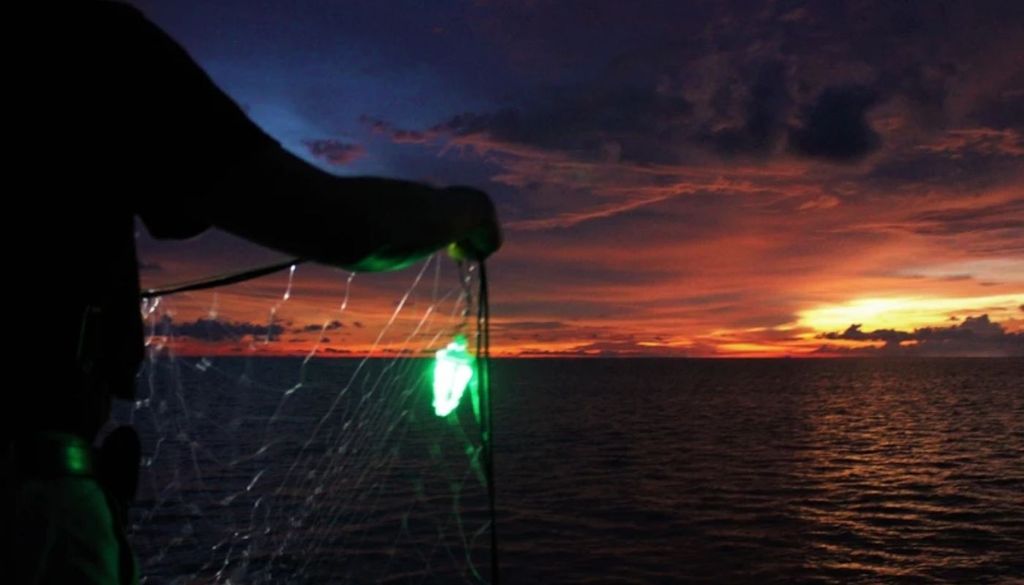 Red en malla de pescar El proyecto todavía es pequeño. Se han realizado cinco viajes de prueba y no hubo captura accidental de pingüinos, pero hacen falta más viajes para comprobar si la tecnología realmente reduce la mortalidad. Créditos de la imagen: NOAA PIFSC.
