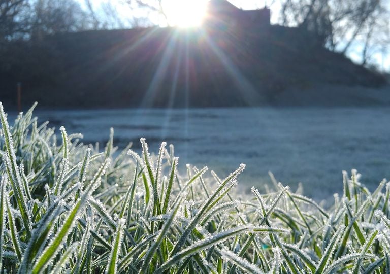 Amanecer con helada. Pasto. Hielo. Amanecer con helada. Pasto. Hielo.