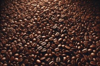 Café brasileiro rompe barreiras e lidera mercado global em 2024