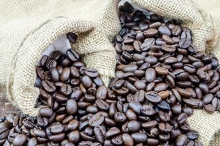 Caf&eacute; em 2026: pre&ccedil;os devem oscilar com clima e safra 26/27; entenda a varia&ccedil;&atilde;o