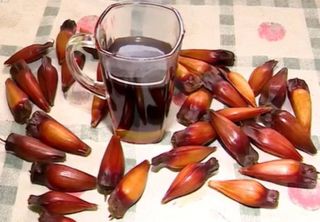 Café feito com pinhão? Inovação em SC, receita de família será lançada ao mercado no Brasil