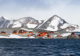 Caldo record in Antartide, +18,3°C registrati nella base argentina