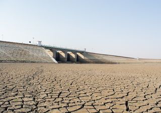 Caldo record e siccità in India fanno impennare i prezzi del grano