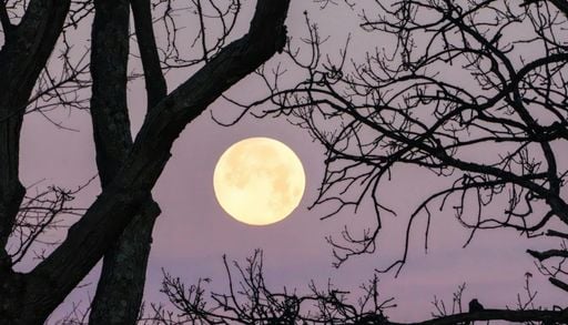 Calendario astron&oacute;mico de junio: Luna de Fresa, alineaciones planetarias y el solsticio de invierno en el hemisferio sur