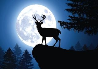 Calendário astronómico julho 2025: saiba o que poder observar no céu noturno de Portugal este mês!