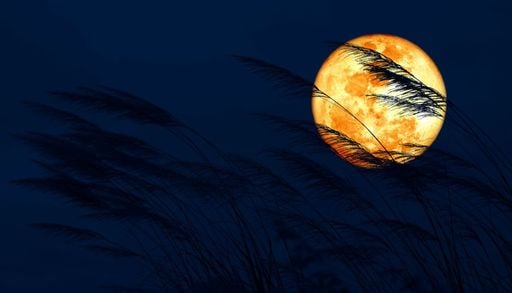 Calendario astron&oacute;micos de septiembre: Venus, Luna de la Cosecha, meteoros y conjunciones m&aacute;s importantes