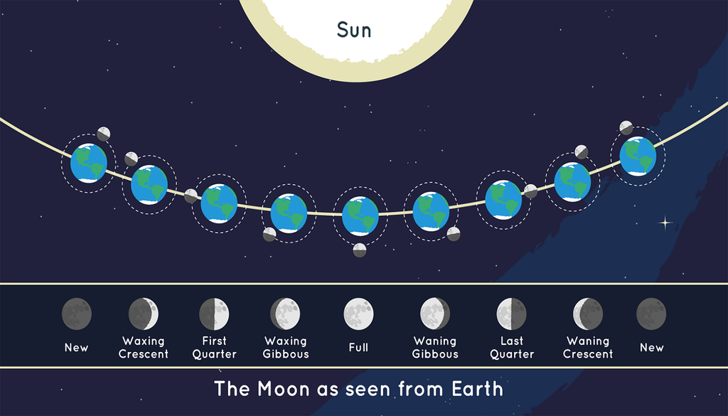 Vista de la Luna (desde la Tierra) de acuerdo con su posición conforme rodea al planeta.