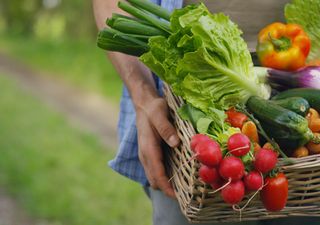 Calendário de plantações: o que podemos cultivar em abril?