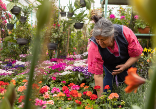 Calendario de siembra: qué plantar en tu huerto en otoño en CDMX