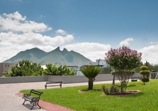 Calendario de siembra: qué plantar en tu huerto en otoño en Monterrey