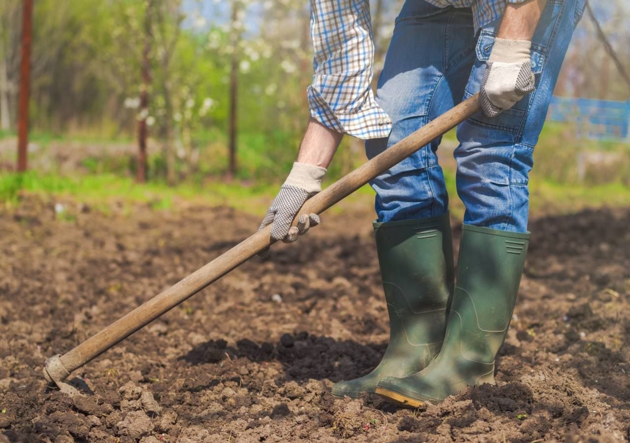 La preparación del huerto en enero es clave para una cosecha abundante durante la primavera