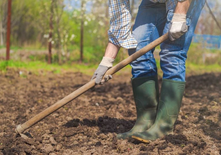 Calendario del huerto: qu&eacute; plantar en enero y cu&aacute;les son las tareas del primer mes del a&ntilde;o