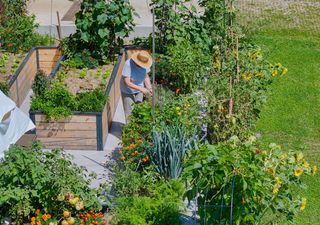Calendario del huerto: qué plantar en febrero y cuáles son las tareas del mes