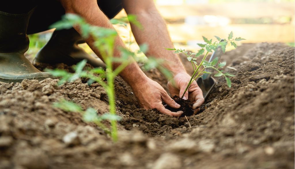 Imagen 1 El huerto de primavera, un adelante del disfrute vegetal del verano