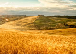 Calendario delle festività di settembre in Italia: santi patroni, ricorrenze religiose e tradizioni locali