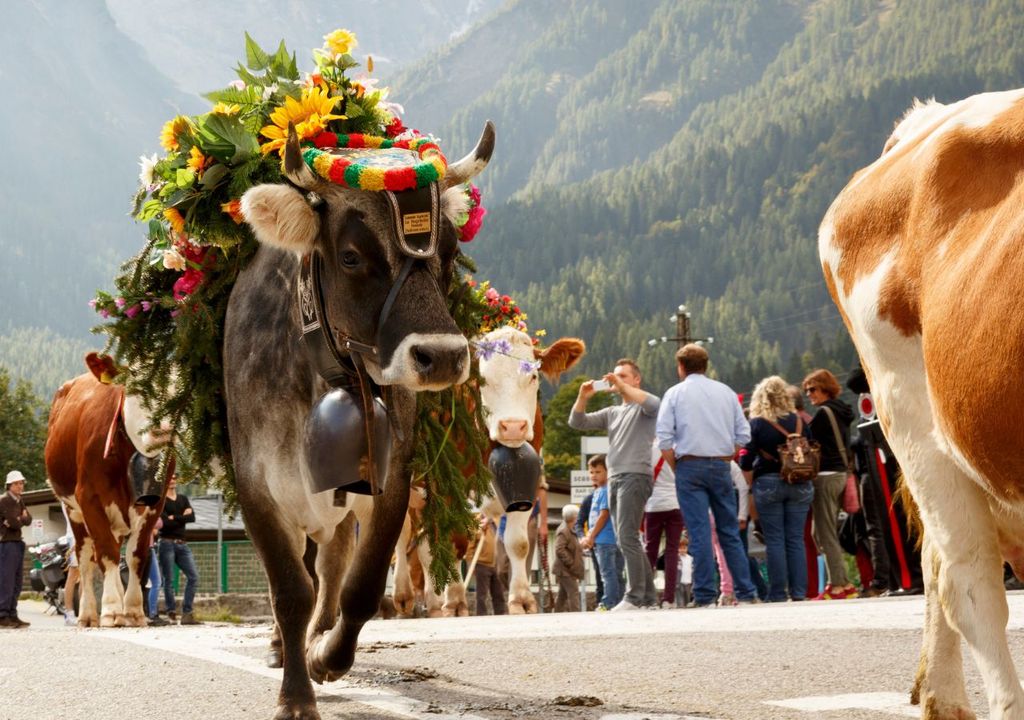 Settembre - transumanza