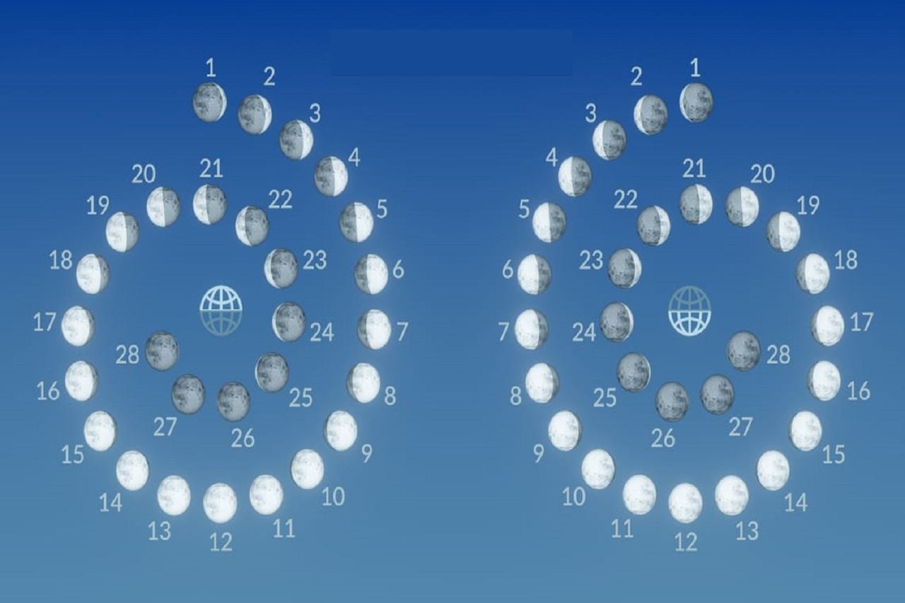 Así se verá la Luna en los hemisferios norte y sur todos los días de febrero de 2025. Crédito: SatrWalk