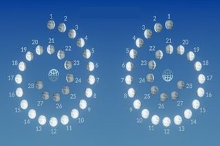 Calendario lunar de febrero 2025: fases, Luna de nieve y microluna