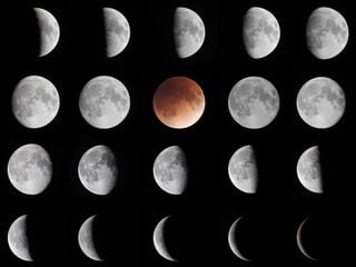 Calendario lunar de noviembre 2024: ¿Cuándo se verá la Luna de Castor?