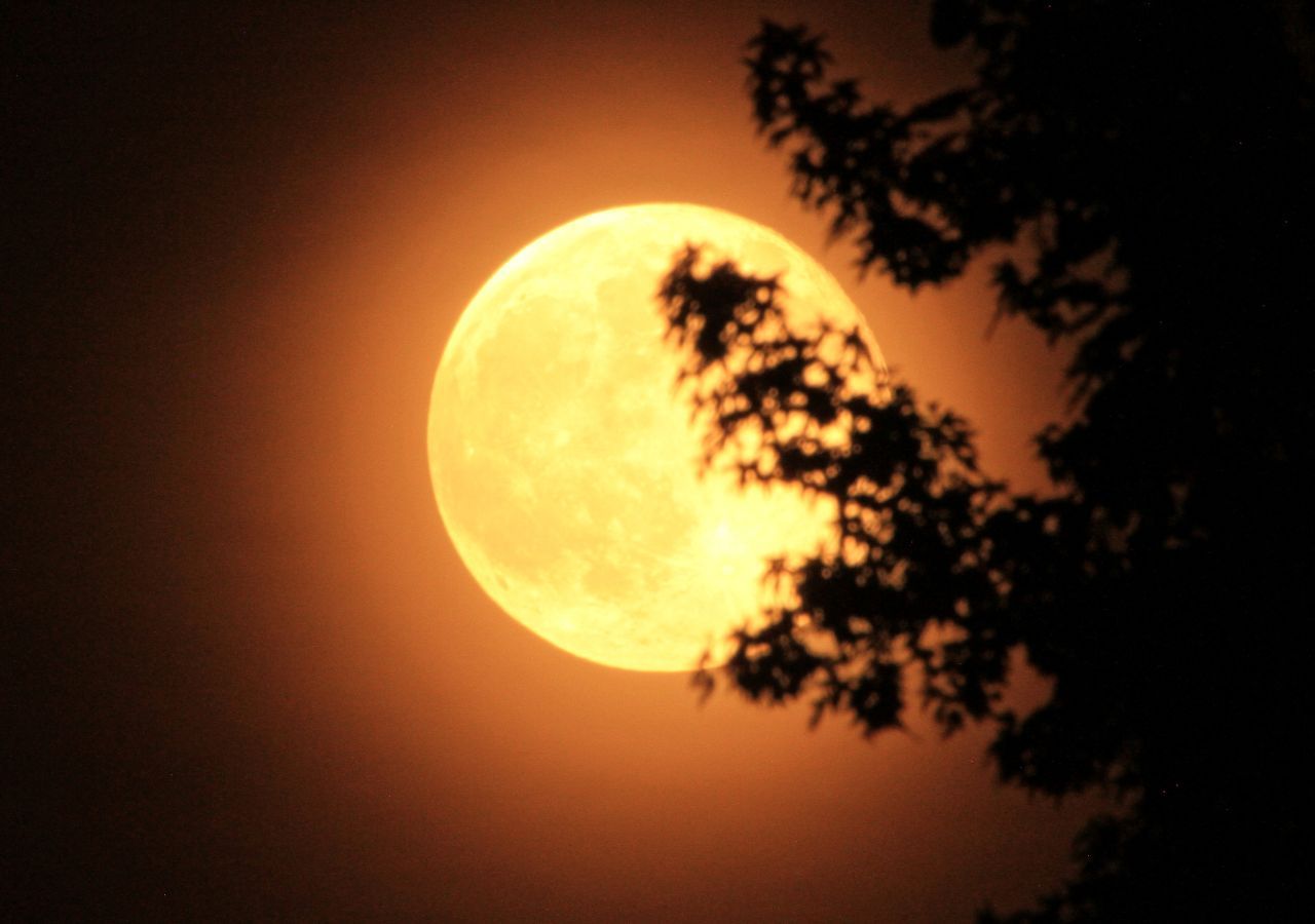La superluna será vista a principios de noviembre. ¿Cuándo veremos el resto de las fases lunares?