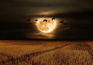 Calendario Lunar Noviembre 2025: cuándo será la superluna y las fases en Chile