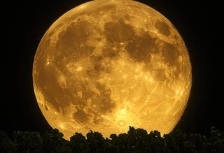 Il calendario lunare del 2025: quando la prossima Luna piena?