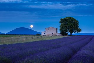 Calendario lunare di marzo 2025: quando la prossima Luna piena e tutte le fasi di questo mese