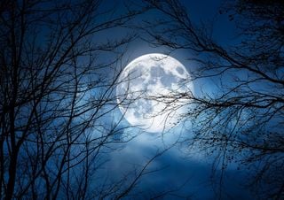 Calendario Lunare Novembre 2025: le fasi della luna giorno per giorno