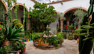 Calendario mensual de jardiner&iacute;a: 5 plantas resistentes al calor para recibir el verano en junio