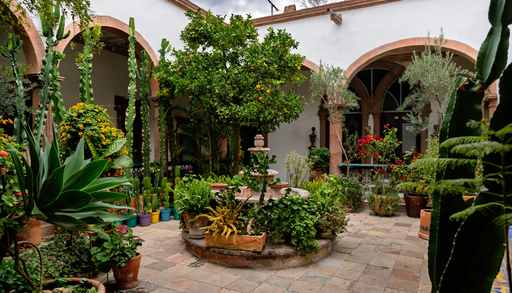Calendario mensual de jardiner&iacute;a: 5 plantas resistentes al calor para recibir el verano en junio