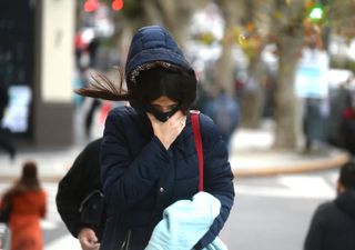 Calentamiento estratosférico súbito: el raro evento meteorológico en marcha que afectará a la Argentina y a Sudamérica 