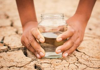 Calentamiento global forzaría un fenómeno El Niño en el Océano Índico