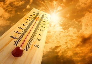 Juillet 2021 devient le mois le plus chaud jamais enregistré sur Terre