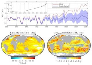 El calentamiento global ha triplicado la duración de las olas de calor marinas desde 1940
