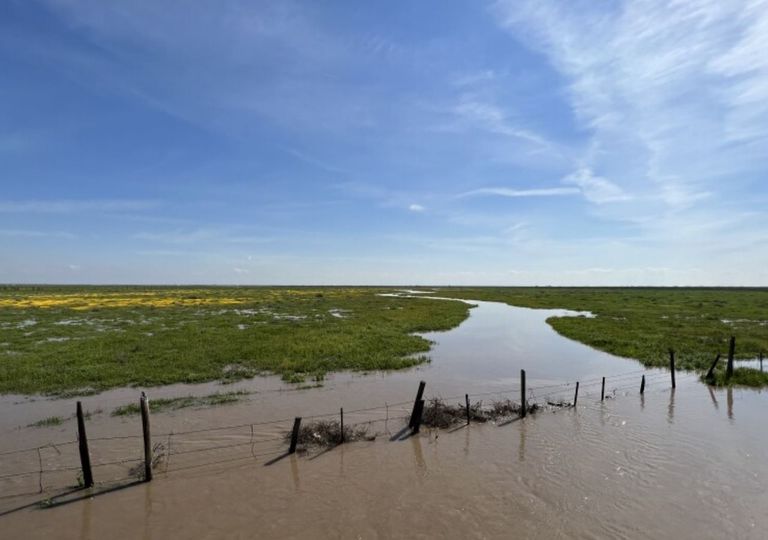 Califórnia: lago fantasma deve reaparecer após 80 anos de seca Califórnia: lago fantasma deve reaparecer após 80 anos de seca