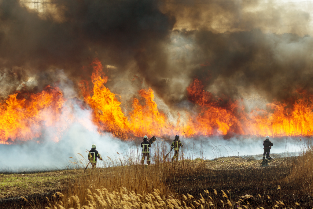 firefighters