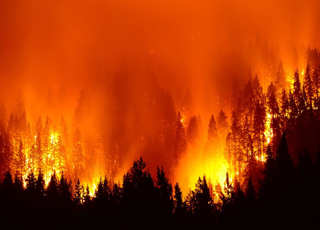 Plus de 20 000 hectares de forêts sont déjà brûlés par le feu de Mc Kinney.