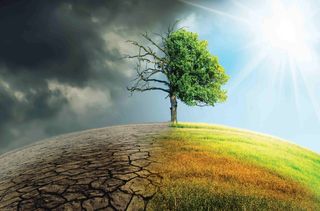 El calor en 2050 matará casi cinco veces más personas que en la actualidad