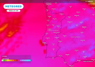 Calor continua nos próximos dias em Portugal: saiba quais as regiões mais quentes ao longo das próximas horas