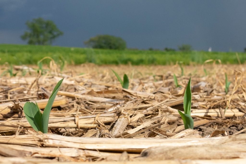 Umidade, calor Umidade, calor