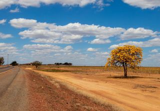 Calor de 40°C e umidade de deserto: INMET emite alerta vermelho de grande perigo; confira os estados em risco