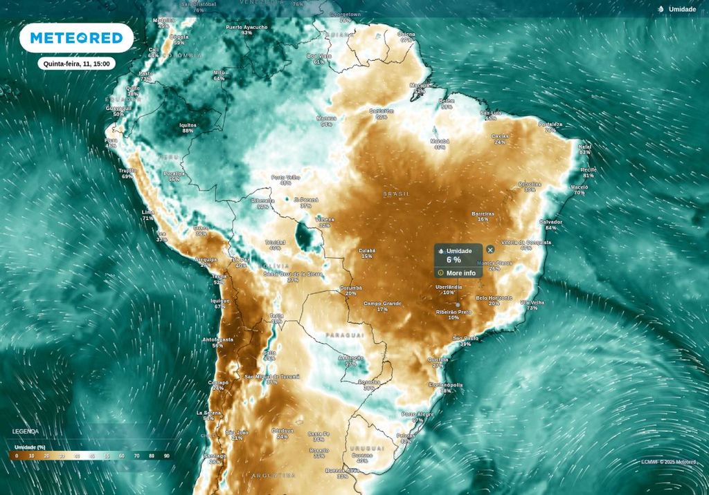 Previsão de umidade relativa nesta quinta-feira (11), de acordo com o ECMWF.