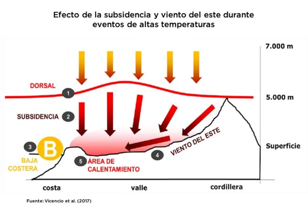 Esquema del efecto de la dorsal cálida en altura y la baja costera durante eventos de calor extremo en Chile.