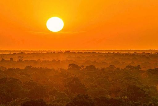 Calor extremo e secas recorrentes empurram a Amaz&ocirc;nia para um novo regime clim&aacute;tico